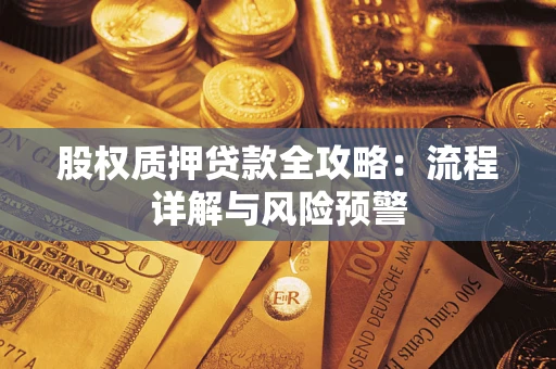 武汉股权质押贷款全攻略：流程详解与风险预警