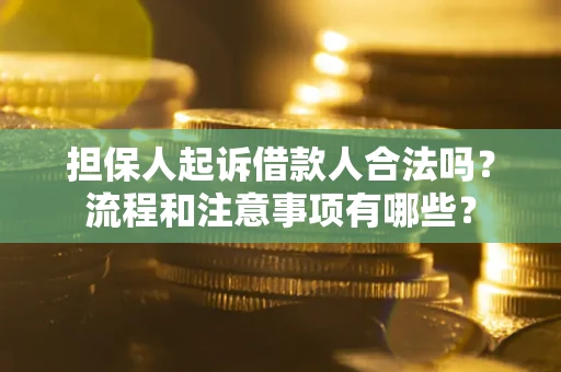 武汉担保人起诉借款人合法吗？流程和注意事项有哪些？
