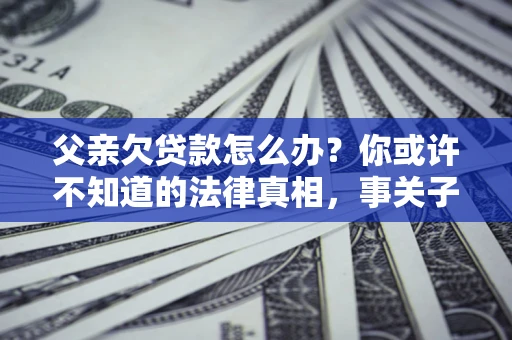 武汉父亲欠贷款怎么办？你或许不知道的法律真相，事关子女未来