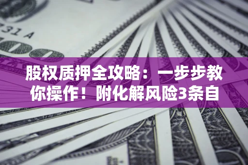 武汉股权质押全攻略：一步步教你操作！附化解风险3条自救法则