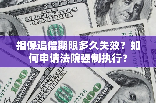 武汉担保追偿期限多久失效？如何申请法院强制执行？