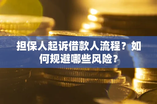 武汉担保人起诉借款人流程？如何规避哪些风险？