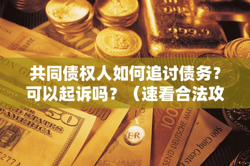 武汉共同债权人如何追讨债务？可以起诉吗？（速看合法攻略）