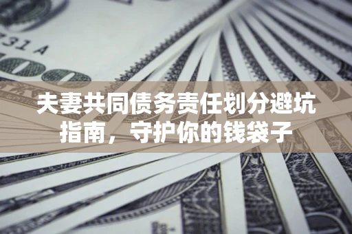 武汉夫妻共同债务责任划分避坑指南，守护你的钱袋子