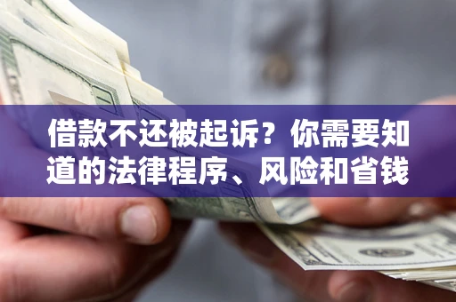 武汉借款不还被起诉？你需要知道的法律程序、风险和省钱技巧